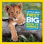 best book for preschoolers
